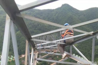 330千伏線路安裝防鳥刺，消除線路鳥害隱患