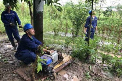 樂(lè)山電力搶修110千伏線路故障，迅速恢復(fù)供電