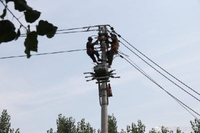 東阿縣供電公司新架設(shè)電桿5基、絕緣導(dǎo)線1000米