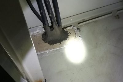 小動物，變電站非請勿來