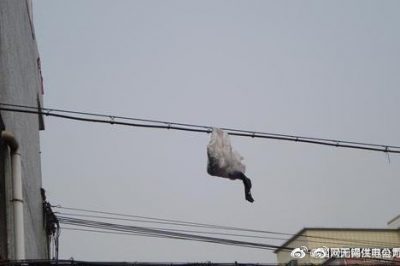 你的隨手一“拋”，可能導(dǎo)致跳閘停電！