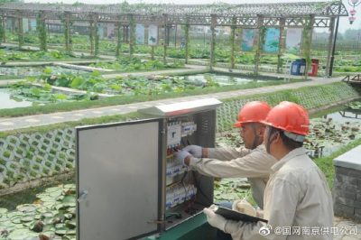 國網(wǎng)南京市江北新區(qū)供電公司安裝變壓器、環(huán)網(wǎng)柜、配電箱等配電設(shè)備