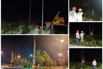 對10千伏君新線用電量大的專變臺區(qū)、斷路器、電纜頭開展常態(tài)化測溫工作